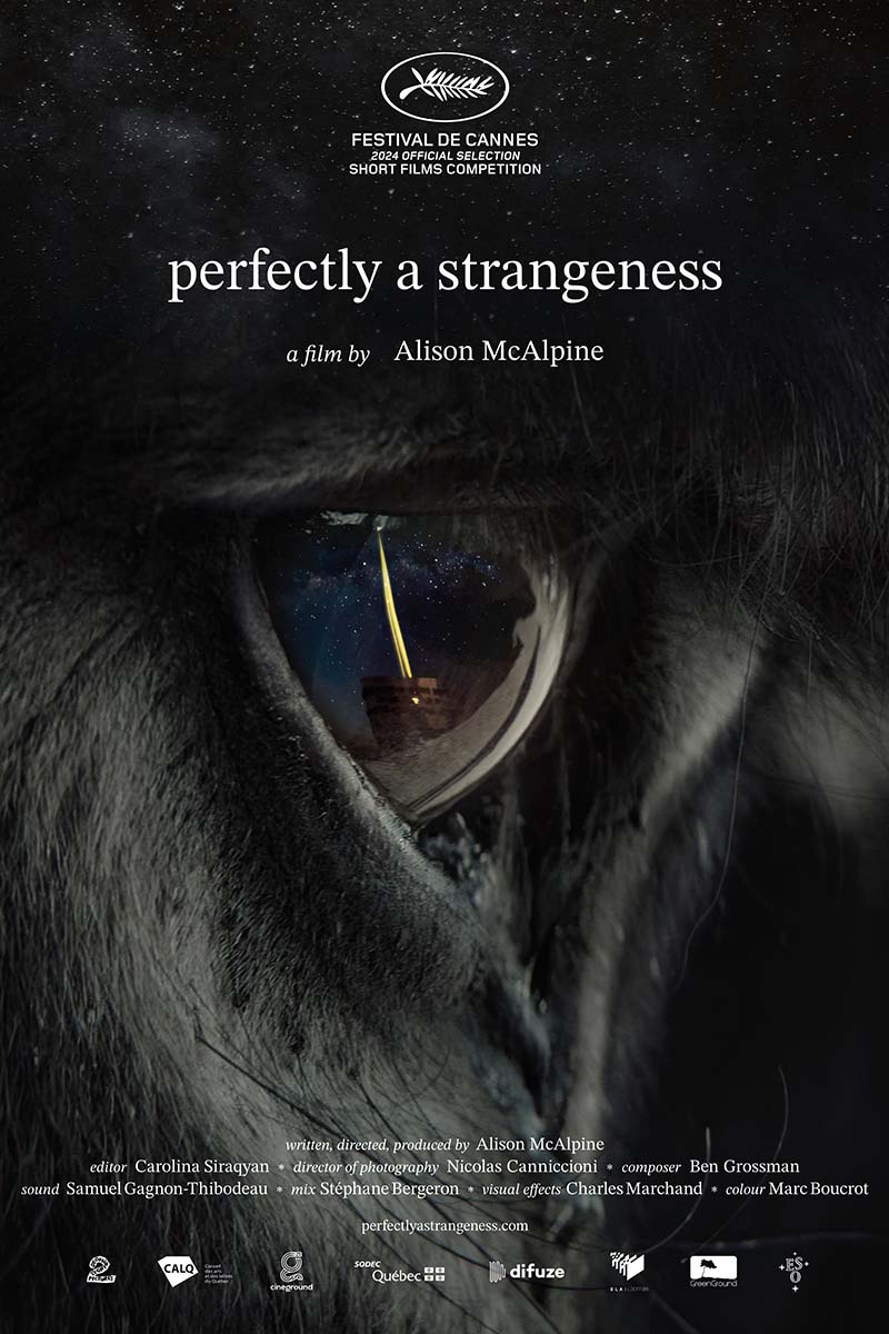 Oscar2026 poster PerfectlyaStrangeness